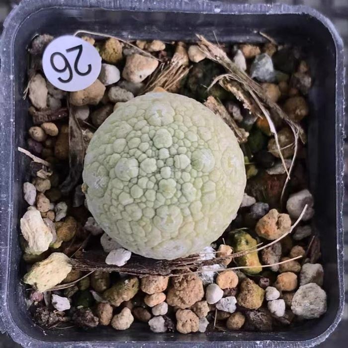 147